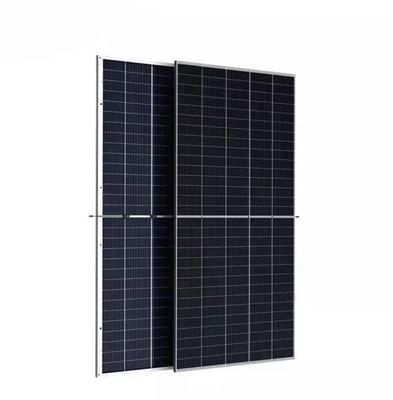 Trina Solar TSM-NEG21C.20 pannello di silicio monocristallino a doppio vetro bifaciale